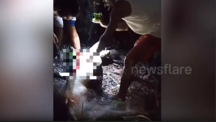 Clip: Thương tâm cậu bé 7 tuổi bị cá sấu cắn tử vong khi đi tắm cùng bạn