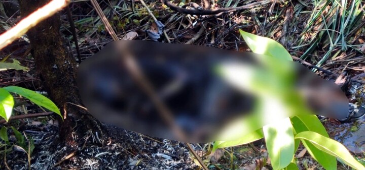 Có gì tại hiện trường nơi phát hiện thi thể cháy đen,nghi là bác sĩ ở Lâm Đồng?