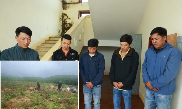 Nhóm đối tượng trộm 6 con trâu của người dân ở Quảng Trị khai gì?