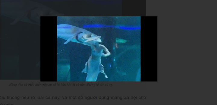 Clip: Thót tim khoảnh khắc 