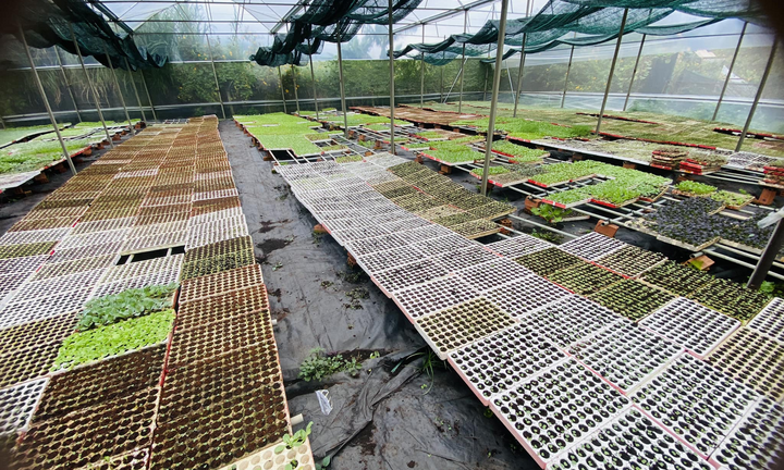 L.A Green: Nâng tầm nông nghiệp việt, kiến tạo vụ mùa bội thu