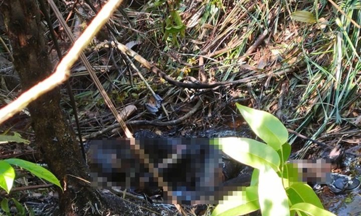 Danh tính thi thể cháy đen trong rừng ở Lâm Đồng