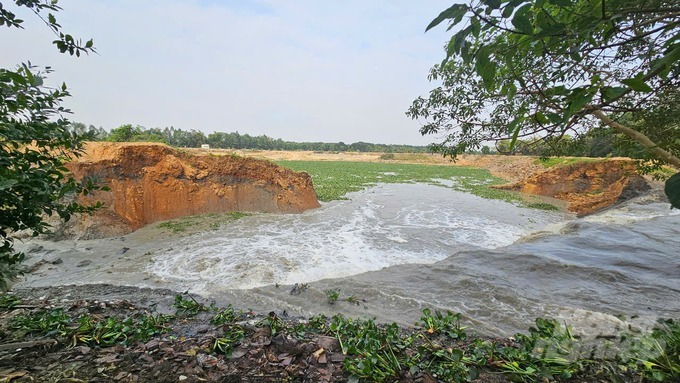 Thanh Hóa: Vỡ bờ sông nhà Lê, nước đổ về cuồn cuộn