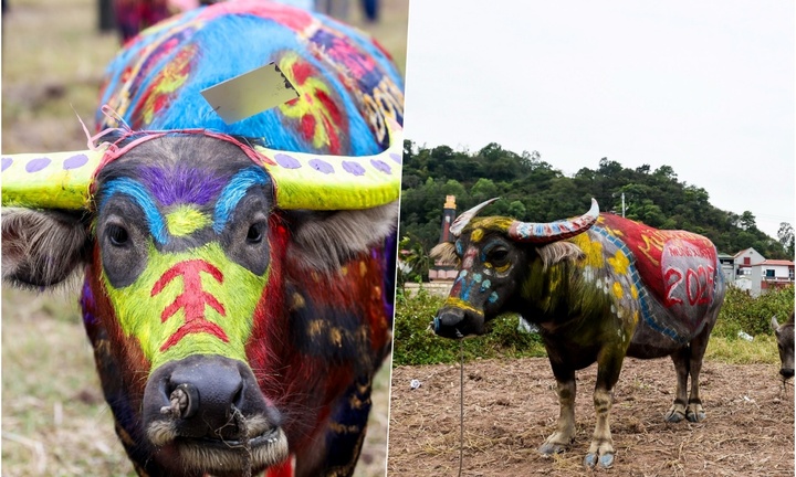 Mãn nhãn với những