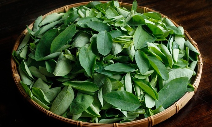 Rửa rau ngót thế nào cho đúng?