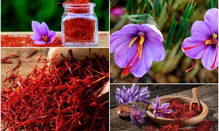 Loại gia vị được ví như