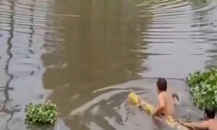 2 người đàn ông dùng cây chuối lao xuống kênh cứu người phụ nữ nghi tự tử