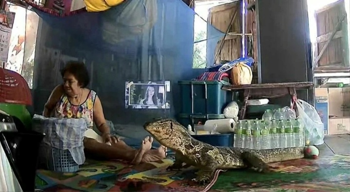 Đang ngồi trong nhà, cụ bà 78 tuổi 