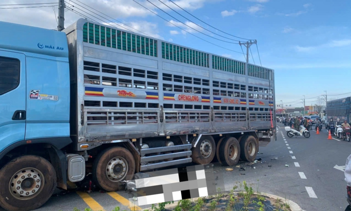 Xe tải chở gia súc cán đôi vợ chồng sắp cưới tử vong thương tâm ở Bình Dương
