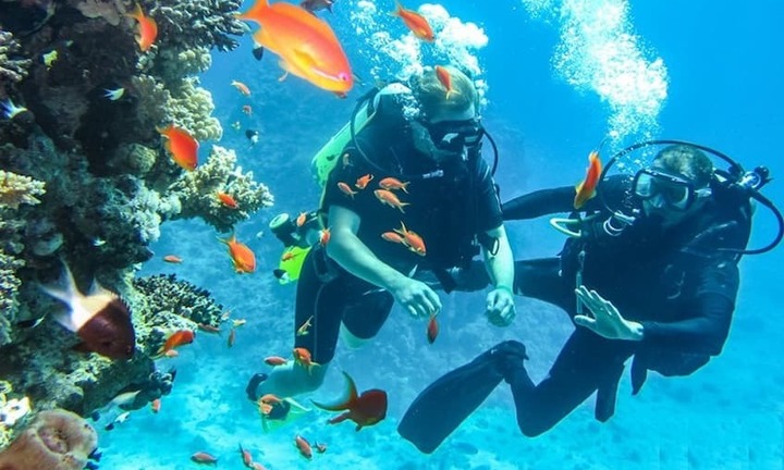 Những trò chơi cảm giác mạnh không nên bỏ qua khi du lịch Nha Trang