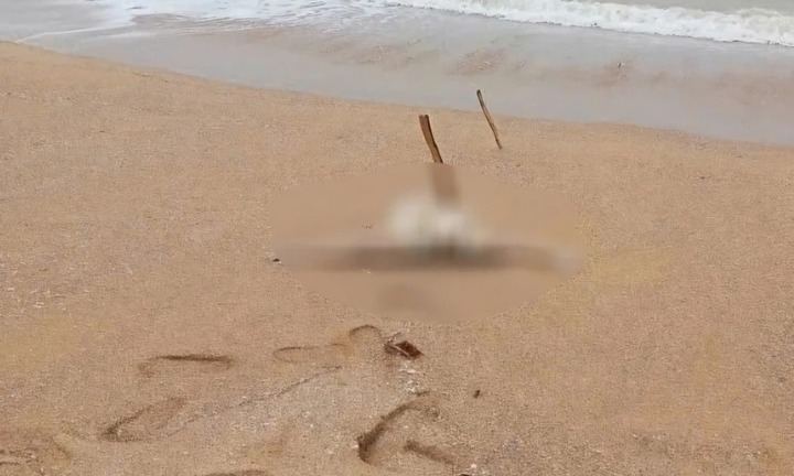 Xác định danh tính thi thể nữ giới không nguyên vẹn dạt bờ biển Quảng Nam