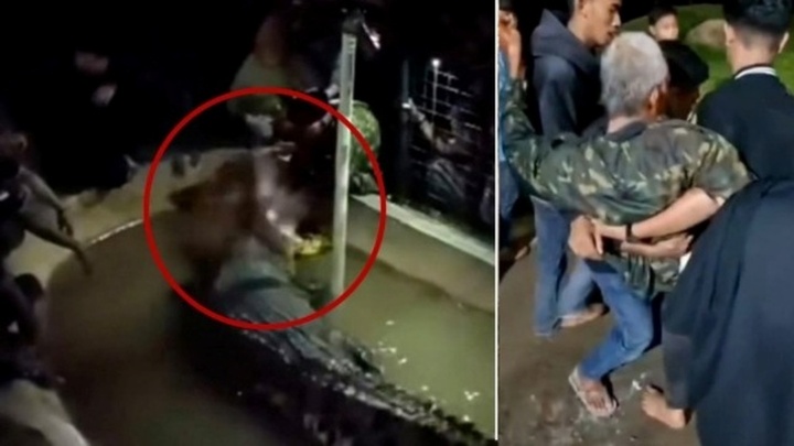 Clip: Người đàn ông bị cá sấu ngoạm tay, lôi xuống nước khi đang cho ăn