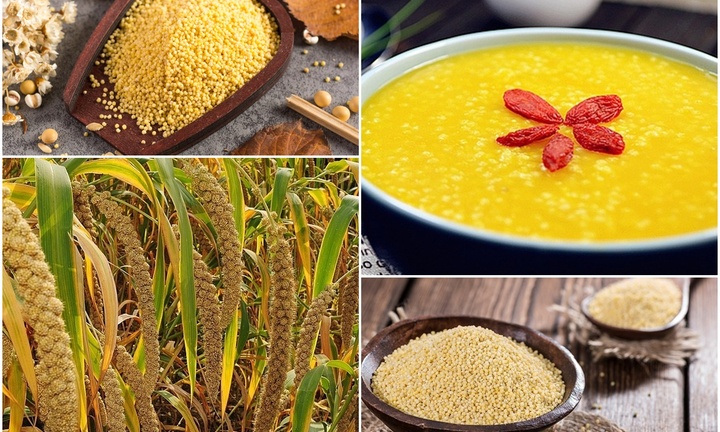 Loại hạt được thế giới 