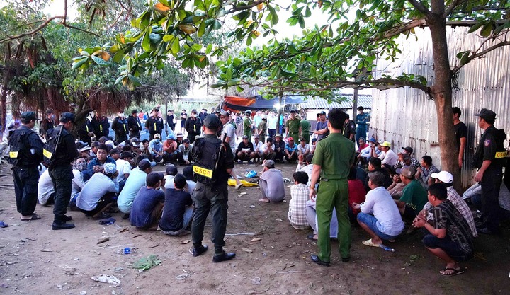 Vụ triệt phá trường gà do 