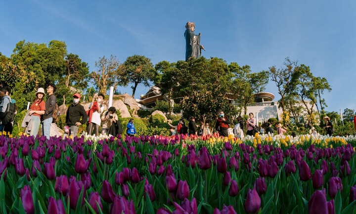 3 trải nghiệm “độc nhất vô nhị” chỉ có ở núi Bà Đen dịp đầu xuân