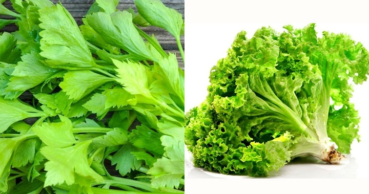 Mất ngủ do nóng gan tuyệt đối đừng bỏ qua loại rau này!