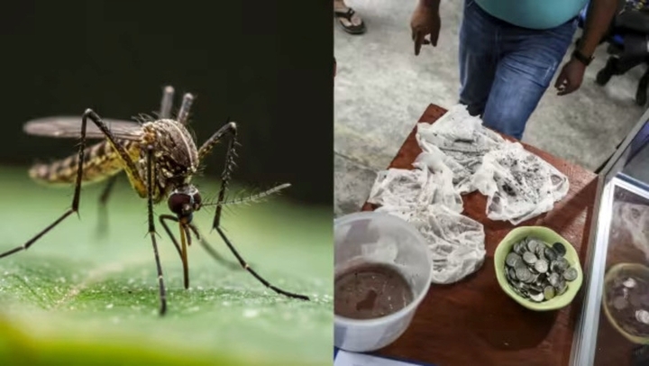 Người dân đua nhau 