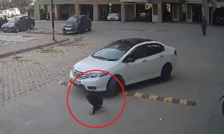 Clip: Phẫn nộ trước cảnh nữ tài xế cán trúng bé trai rồi phóng xe bỏ chạy