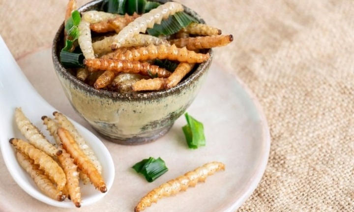 Cà phê côn trùng: Trải nghiệm 