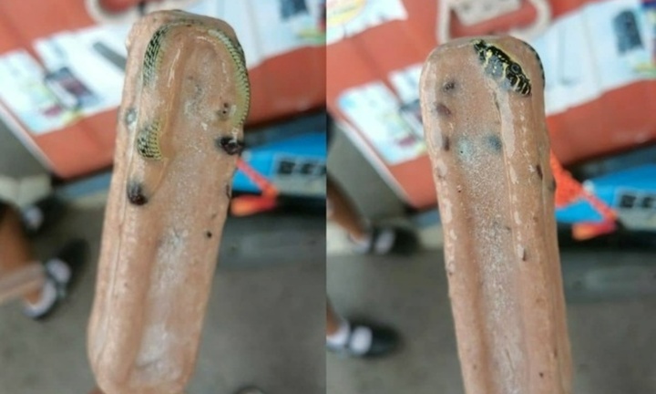 Đang ăn kem, người đàn ông “lạnh sống lưng” khi thấy “vật thể lạ” đáng sợ