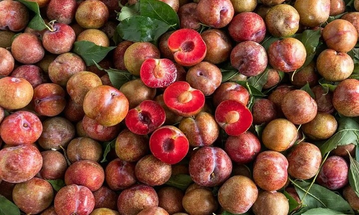 Loại quả mệnh danh là ''viên ngọc đỏ của núi rừng Tây Bắc'' nhưng cực hại cho thận