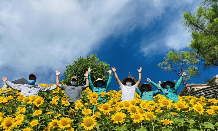 Có gì chơi tại Đà Nẵng dịp kỷ niệm 50 năm giải phóng thành phố?