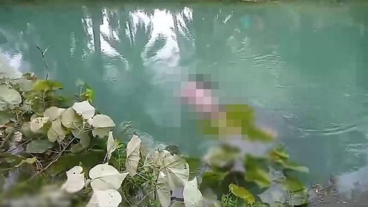 Clip: Đi hái rau muống, người phụ nữ ở Indonesia bị cá sấu tấn công tử vong