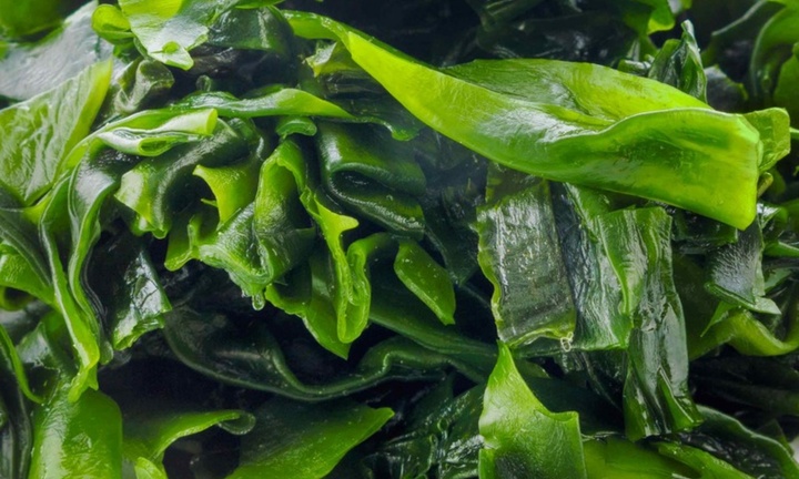 Loại lá có mùi tanh nhưng là 