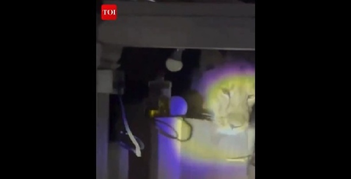 Clip: Soi đèn vào bếp lúc nửa đêm, cả nhà tá hỏa với 