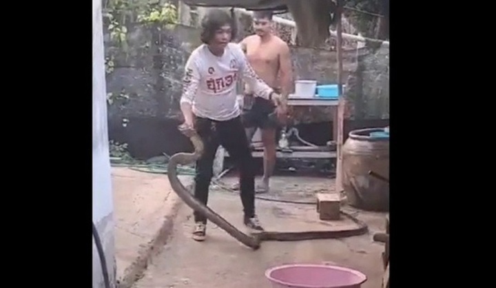 Clip: Nổi da gà cảnh người đàn ông tay không tóm gọn 