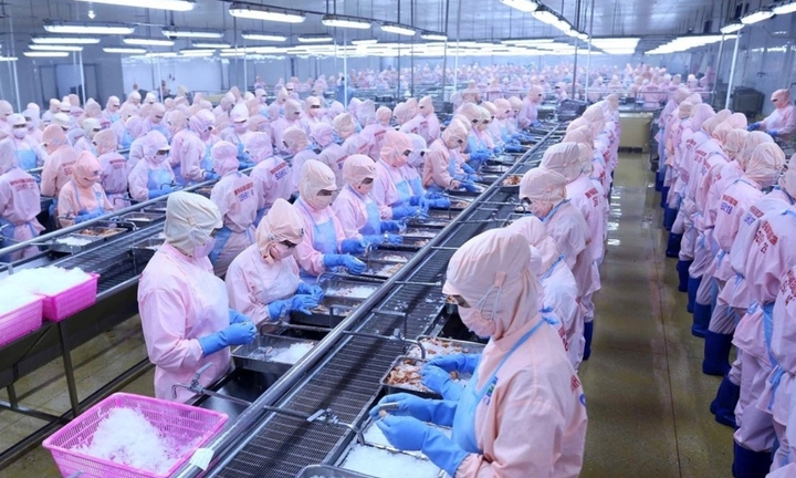 Phát triển kinh tế tư nhân: Nâng cao nội lực, giảm phụ thuộc vào bên ngoài