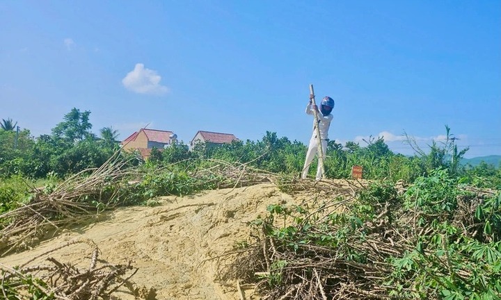 Chuyên gia nói gì về hiện tượng lạ bùn phun trào, nhiều vết nứt dài ở Phú Yên?