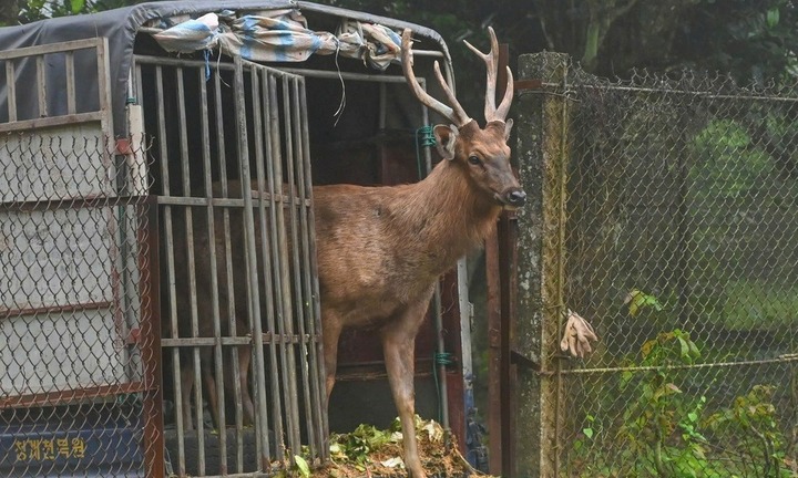 Vườn quốc gia Cúc Phương tiếp nhận 18 động vật rừng quý hiếm 