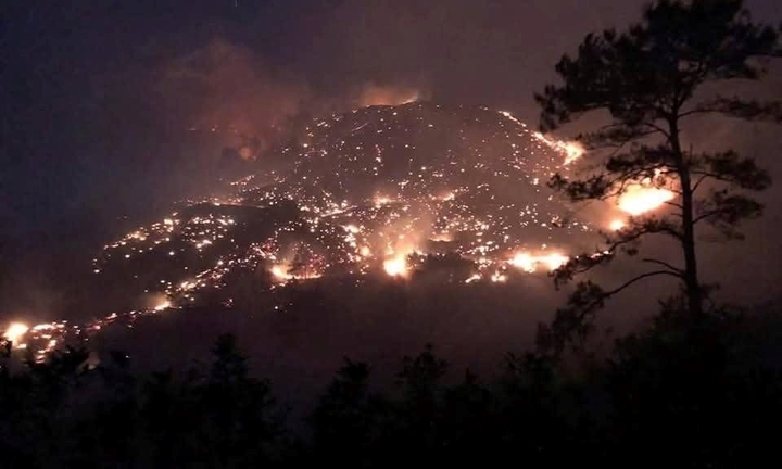 Quảng Ninh: 2 đám cháy rừng lớn xảy ra trong đêm, hàng trăm người tham gia dập lửa