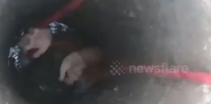 Clip: Nín thở cảnh giải cứu bé gái 7 tuổi mắc kẹt dưới hố công trường xây dựng