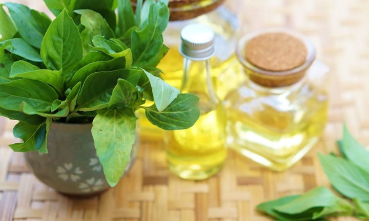 Top những món ăn, thức uống nên dùng thường xuyên để giải độc thận