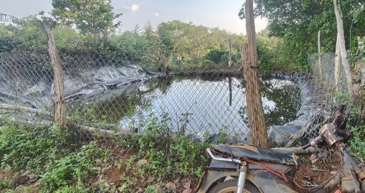 Thương tâm: 2 anh em ruột tử vong trong ao nước tưới cà phê ở Đắk Nông