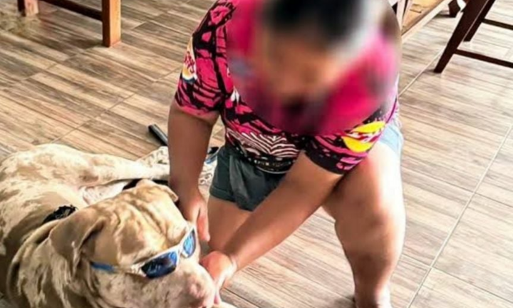 Xót xa: Người phụ nữ Thái Lan bị tấn công tới nguy kịch bởi chính chú chó mình cưu mang từ trại cứu hộ