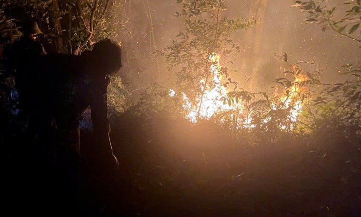 Tin tức thời sự hôm nay (21/4): Công an làm rõ vụ cháy Vườn Quốc gia Ba Vì