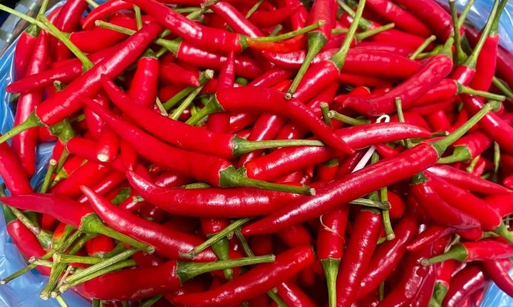 Ăn ớt giúp tăng cân hay giảm cân?