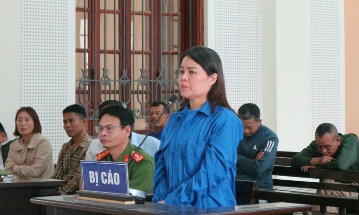 Lừa đảo chiếm đoạt gần 6,9 tỷ đồng, nữ “luật sư rởm” lĩnh án 20 năm tù