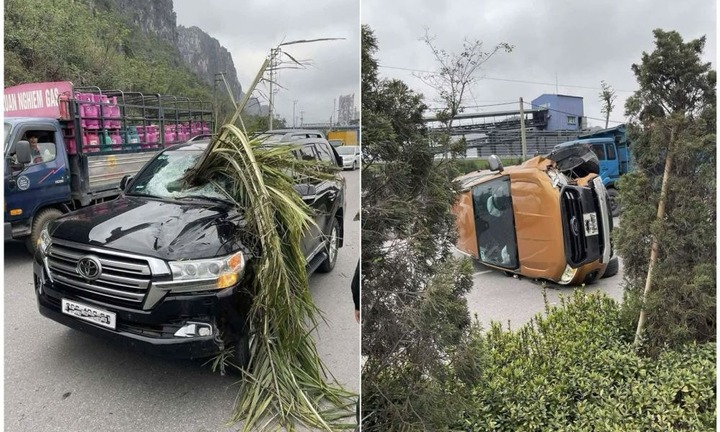 Hiện trường xe bán tải mất lái đâm đổ cây cọ, tàu lá xuyên kính xe ngược chiều
