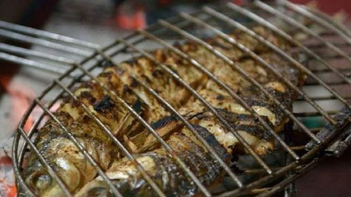 Loại cá kích thích tế bào K phát triển