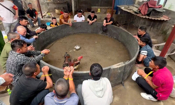 Hải Phòng: Đồng loạt ra quân thực hiện cao điểm tấn công, trấn áp tội phạm