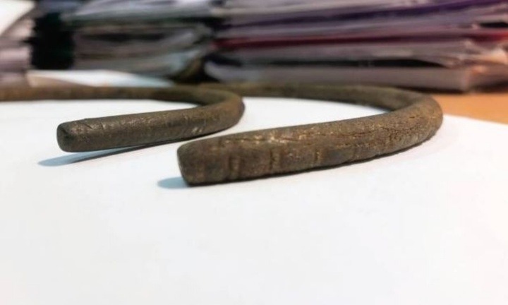 Đang làm việc trên đồng, người nông dân tìm thấy 