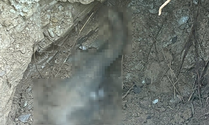 Xót xa voi con lọt xuống giếng chết ở Đồng Nai, voi mẹ tìm cách cứu con nhưng bất lực