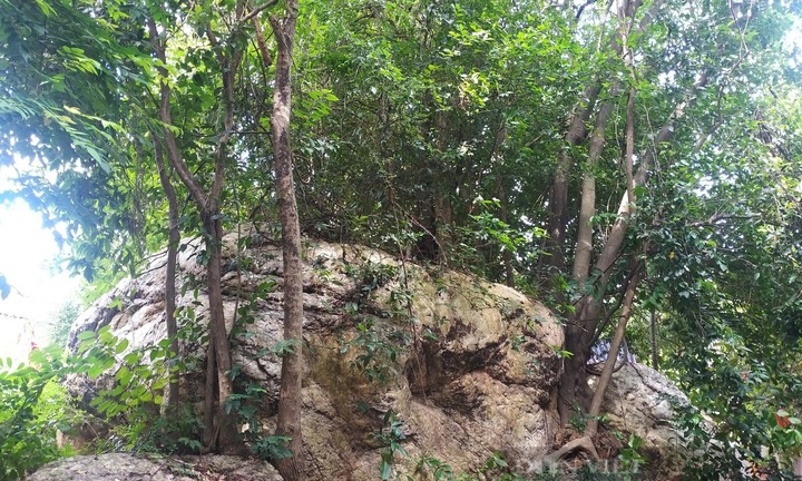 Nhật ký săn vàng: Sự thật về