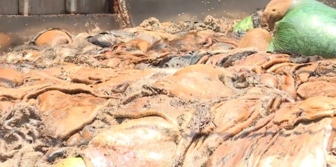 Thanh Hóa: Bắt giữ gần 5 tấn da trâu, bò không rõ nguồn gốc xuất xứ