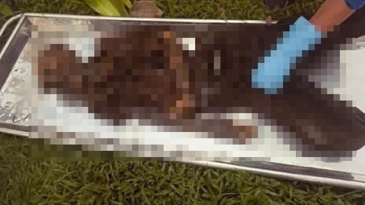  Vụ phát hiện bộ hài cốt dưới cầu Bình Triệu, TP.HCM: Nạn nhân có đặc điểm gì?