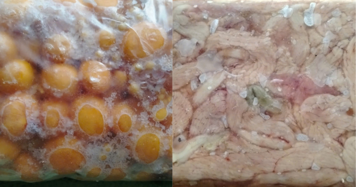 Hà Nội: Tạm giữ 800kg trứng gà non, tràng gà đông lạnh không rõ nguồn gốc